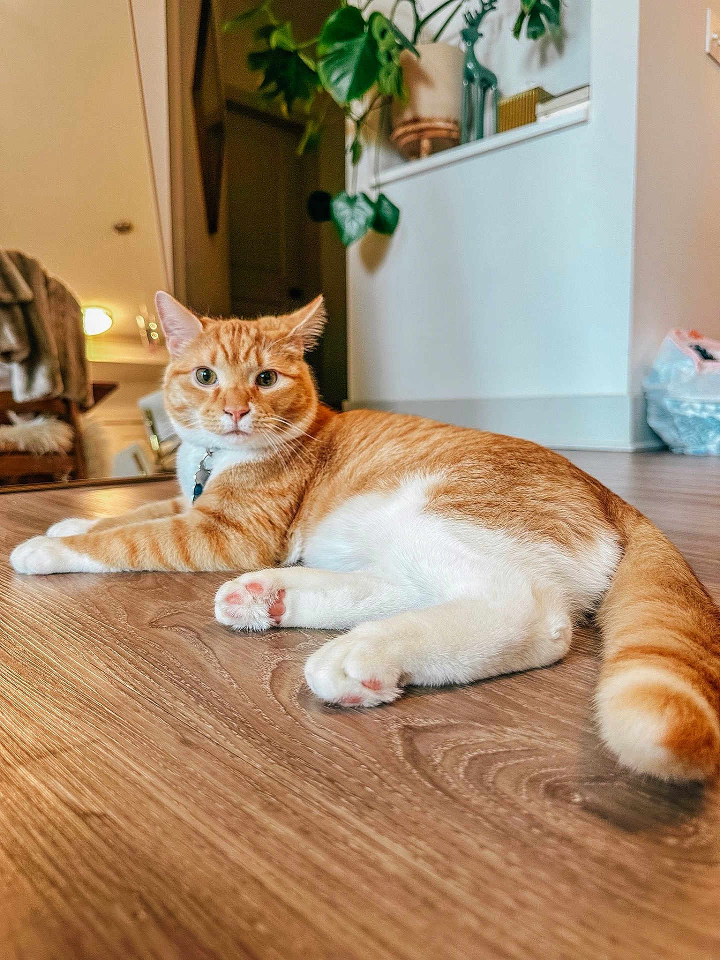 Simba