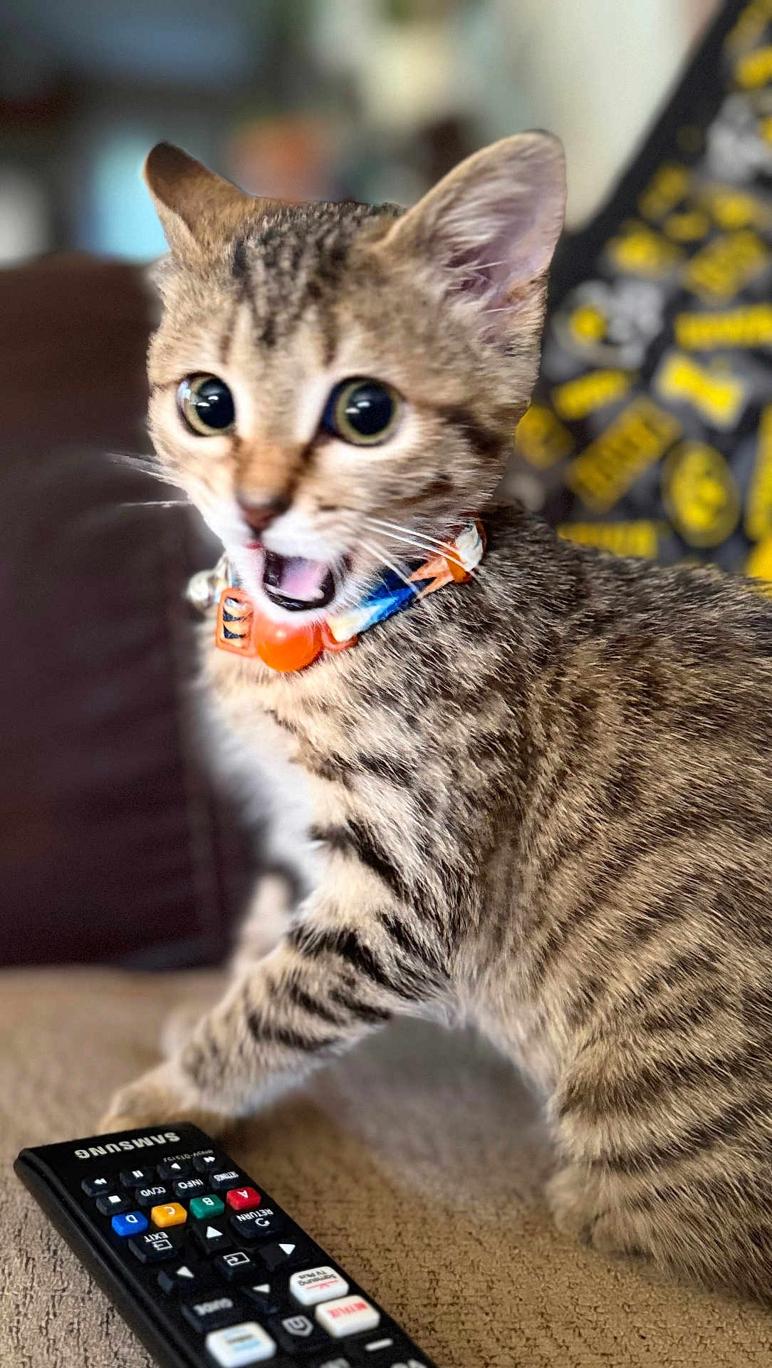Cheetara