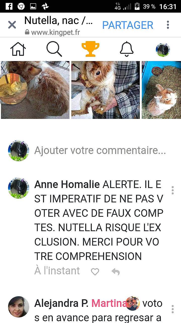 Nutella a rejoint le concours — aidez-le/la à gagner de superbes lots ! font, organism, photo_caption, screenshot, text