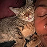 Rimuru joined the competition — help win amazing prizes! black_shirt, cat, close_up, closed_eyes, companion, cozy, cute, face, fur, indoor, nose_ring, paw, peaceful, person, relaxation, resting, sleeping, snuggling, tabby_cat, whiskers