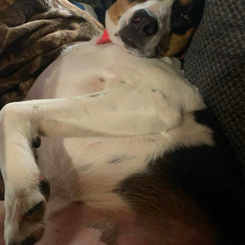 Lilly