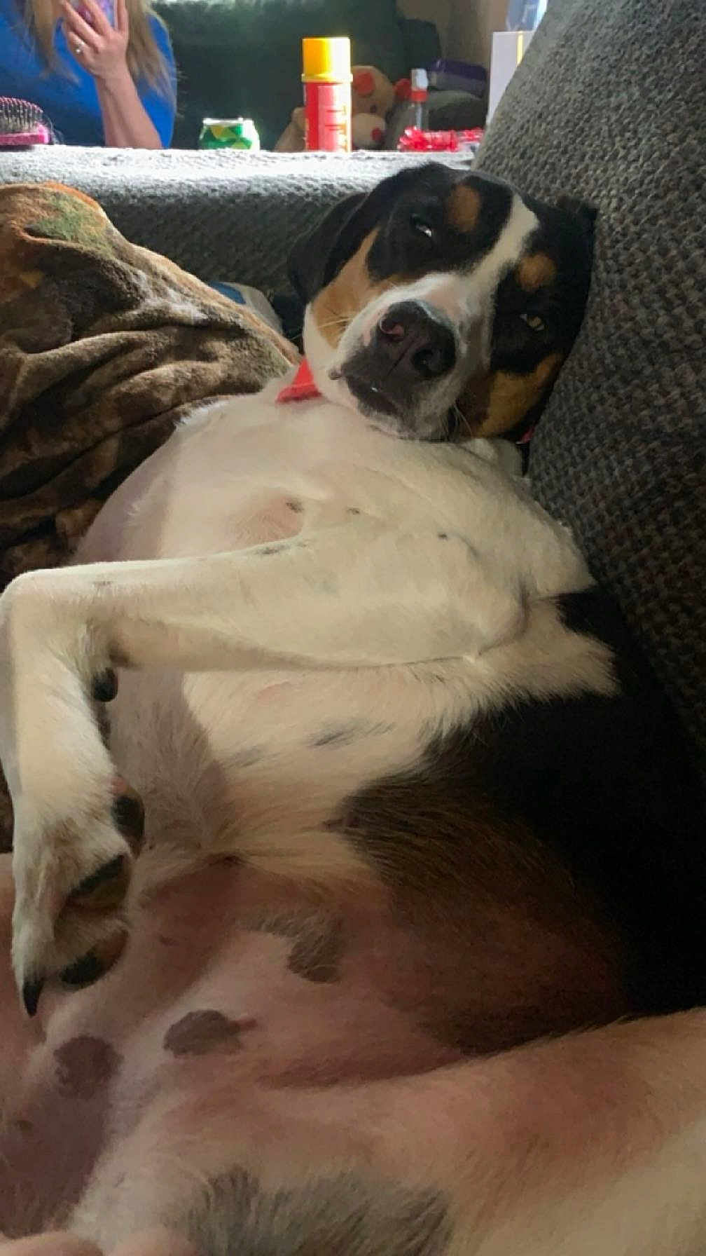 Lilly