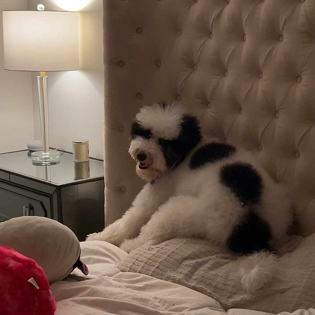 Charlie