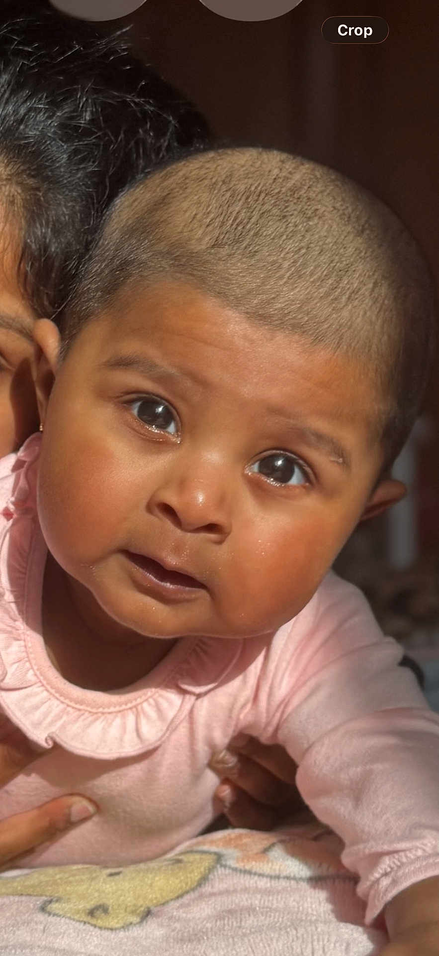 Janhvi participe au concours pour gagner de l'argent avec cette photo : baby, infant, child, portrait, close_up, shaved_head, short_hair, dark_eyes, chubby_cheeks, pink_clothing, earring, hand, blanket, indoor, natural_light, curious_expression, skin, face, parent_partial, tummy_time