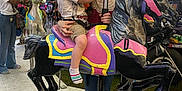 Noah joined the competition — help win amazing prizes! adult, amusement_ride, canopy, carnival, carousel, carousel_horse, child, colorful, crowd, fair, holding, lights, metal_floor, pole, portrait, shoe, shorts, smile, sock, stuffed_toy