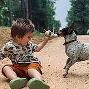 Noah joined the competition — help win amazing prizes! child, toddler, boy, dog, pet, stuffed_toy, dirt_road, outdoors, trees, forest, play, candid, smiling, sitting, shorts, patterned_shirt, dinosaur_print, green_shoes, collar, interaction