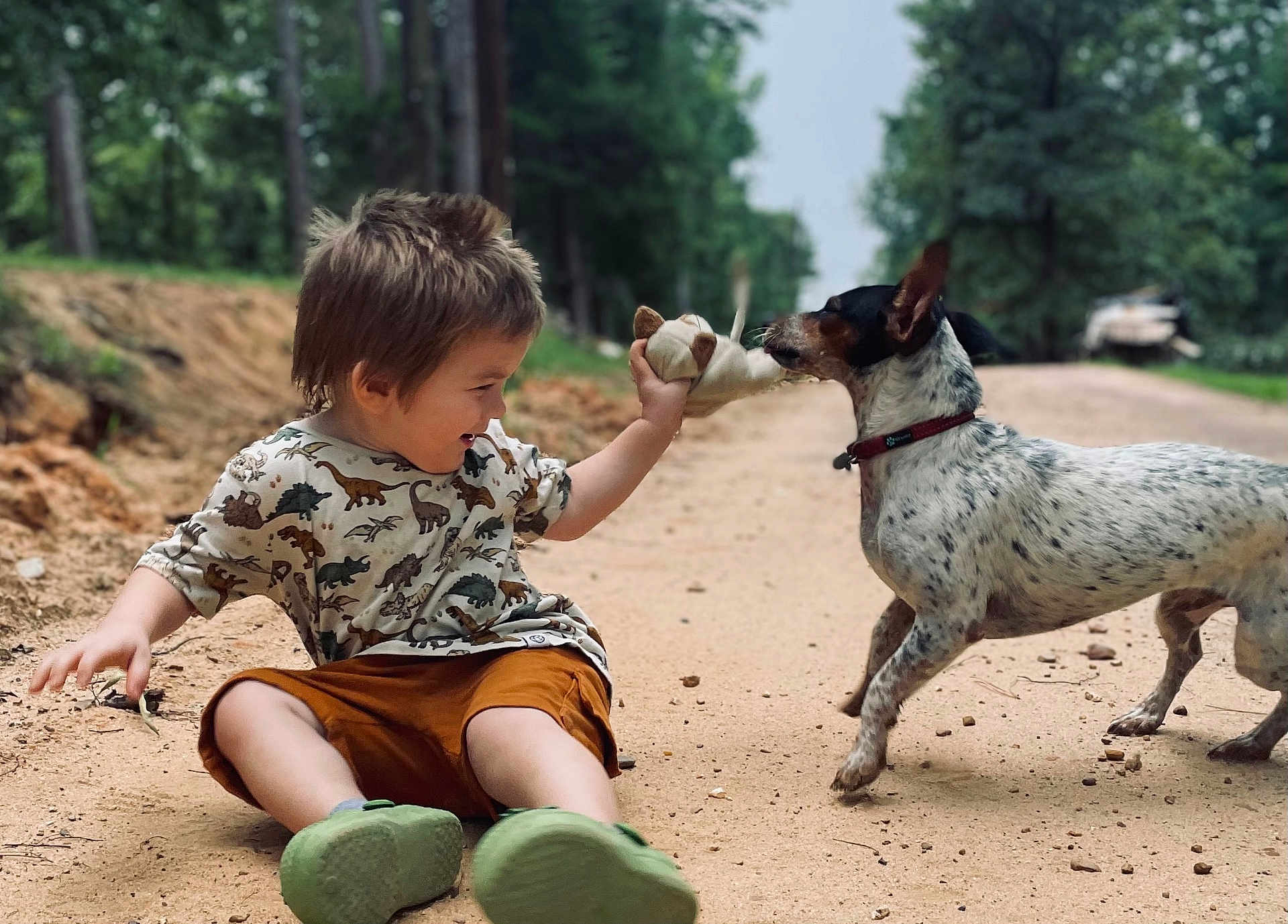 Noah joined the competition — help win amazing prizes! child, toddler, boy, dog, pet, stuffed_toy, dirt_road, outdoors, trees, forest, play, candid, smiling, sitting, shorts, patterned_shirt, dinosaur_print, green_shoes, collar, interaction