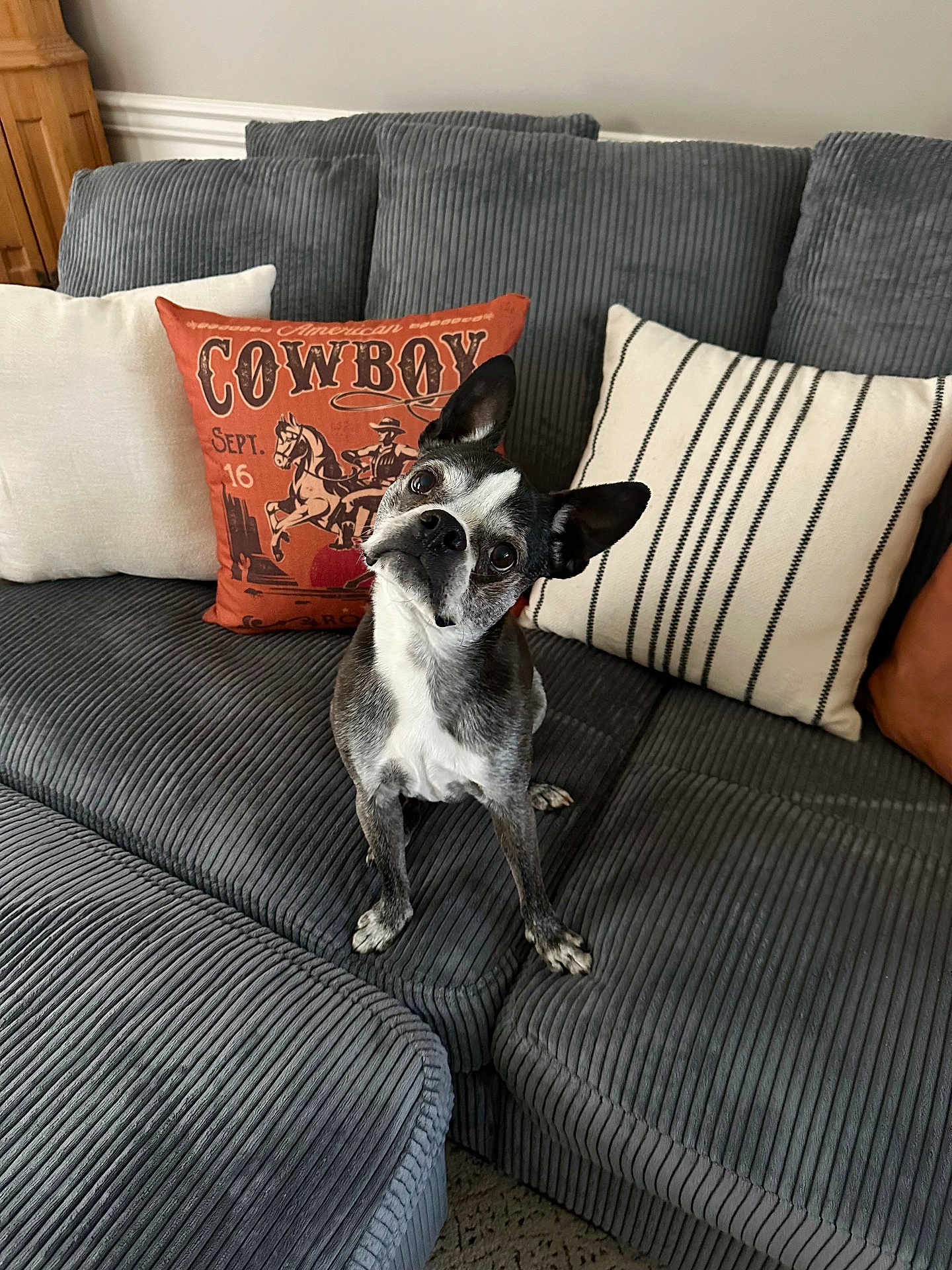 Stella