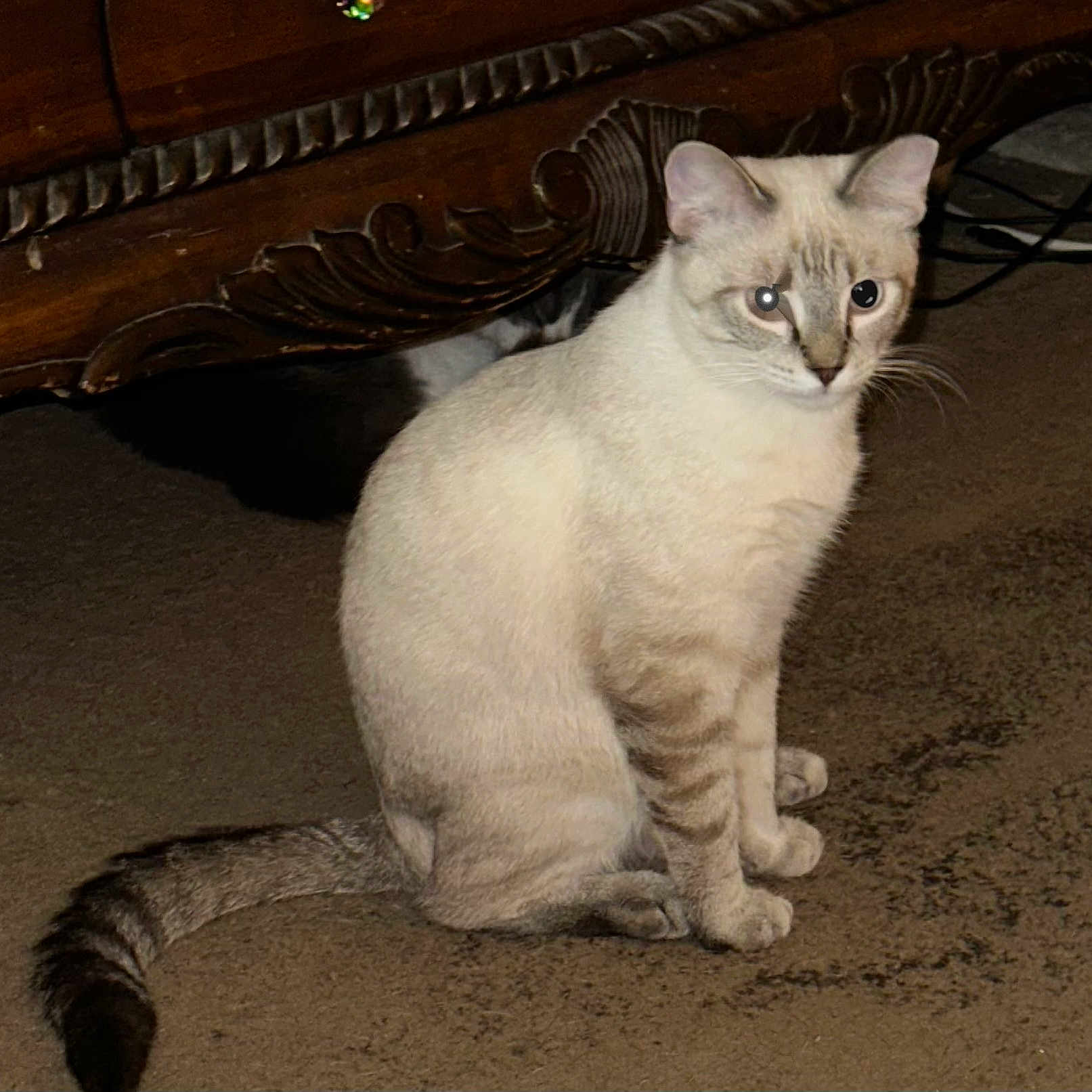 Loki
