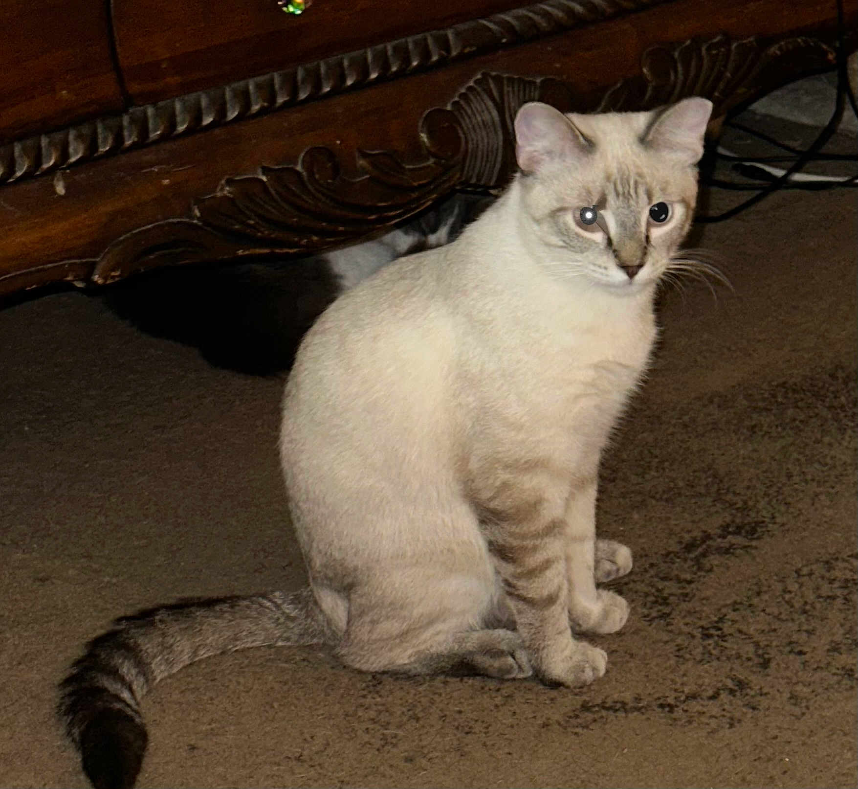 Loki