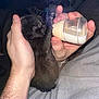animal, baby, beverage, bodypart, canine, cat, dog, face, finger, furniture, hand, head, kitten, milk, person, pet, photography, portrait, puppy, rabbit