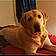 Samson