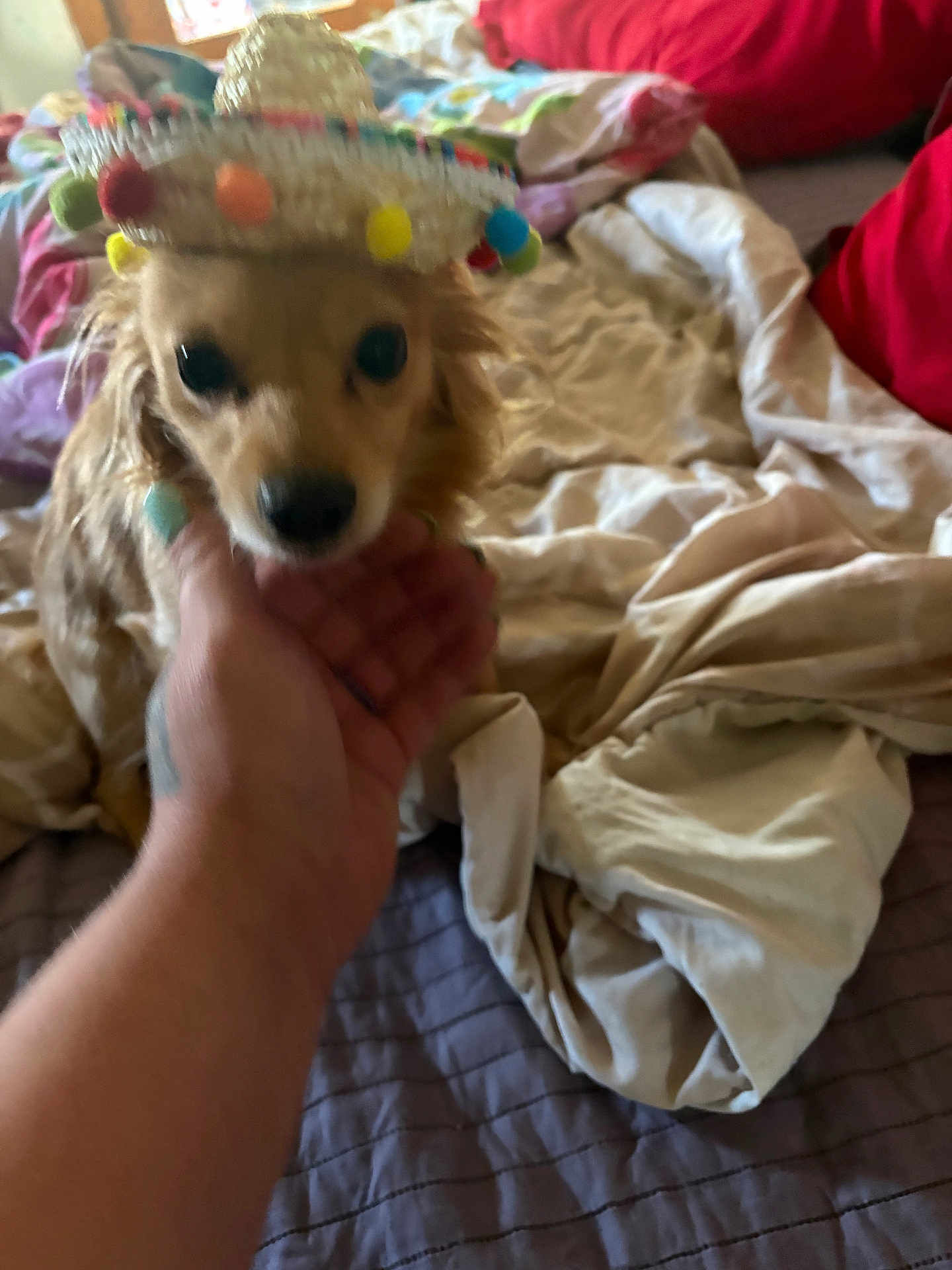 Charlie