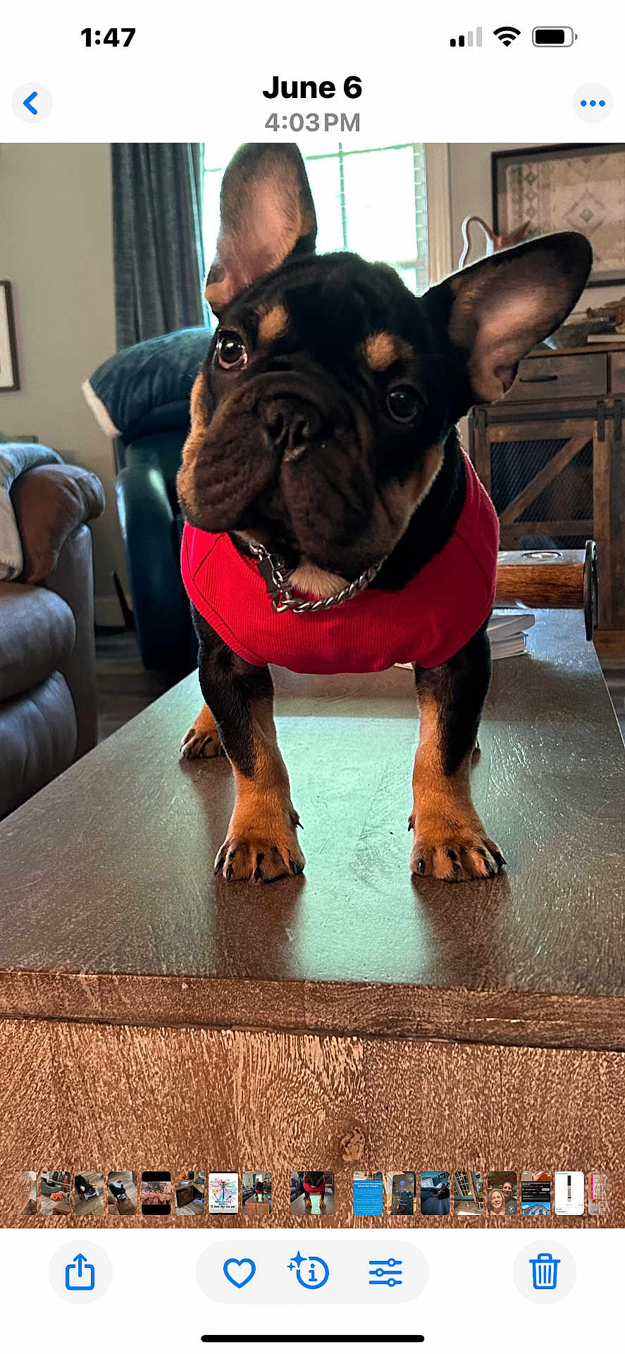 Jasper