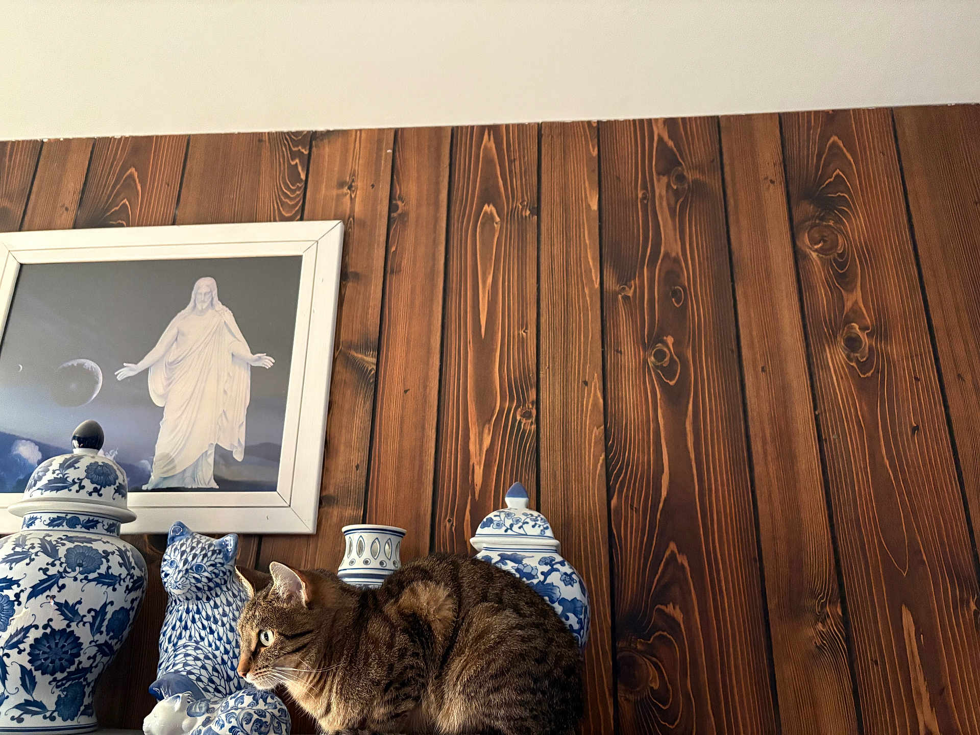 Tiger joined the competition — help win amazing prizes! animal, brown_cat, cat, ceramic_cat_figurine, ceramic_jars, cozy, curious, decor, feline, framed_picture, household, indoor, ornaments, pet, portrait, still_life, striped_cat, tabby_cat, vintage_style, wooden_wall