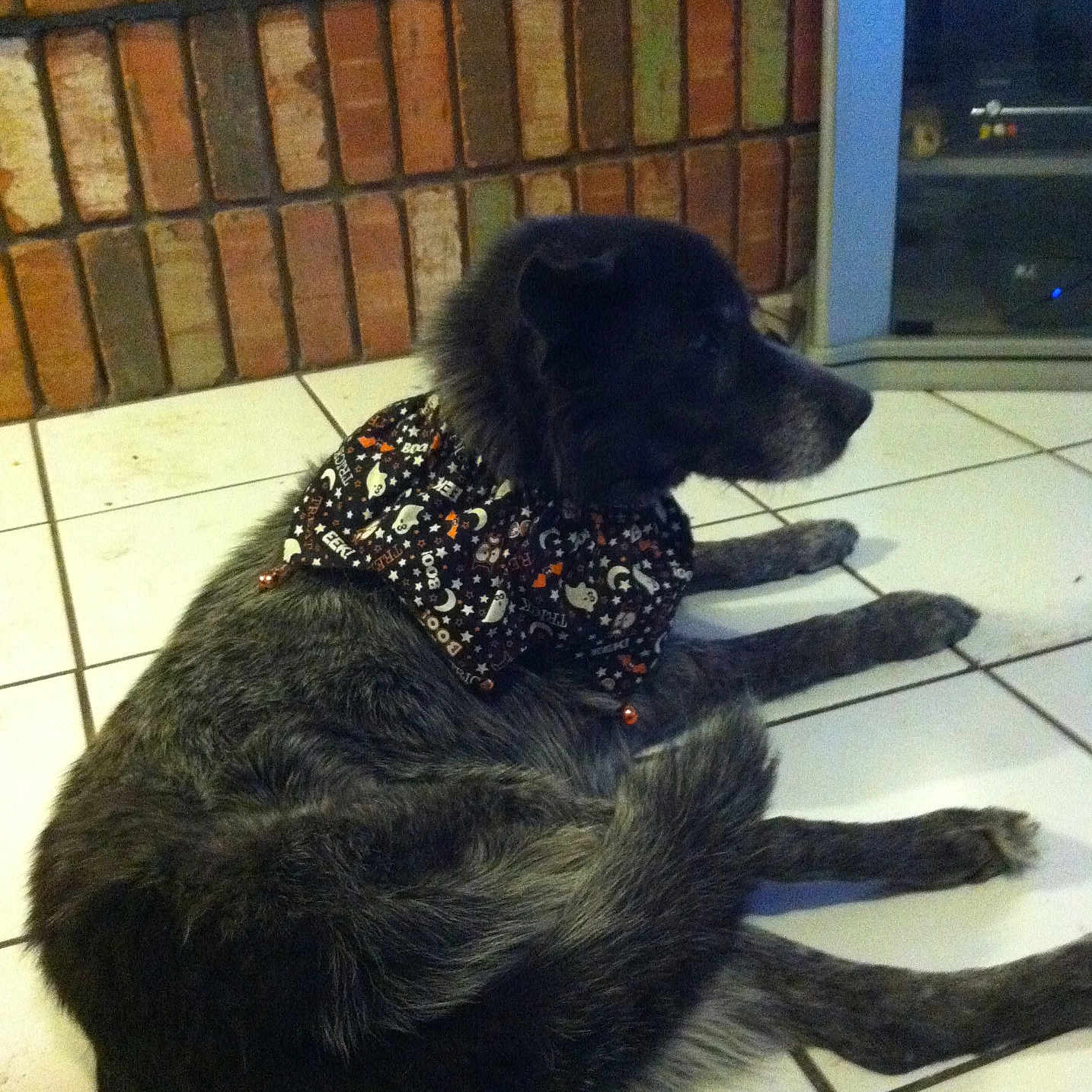 Pepper