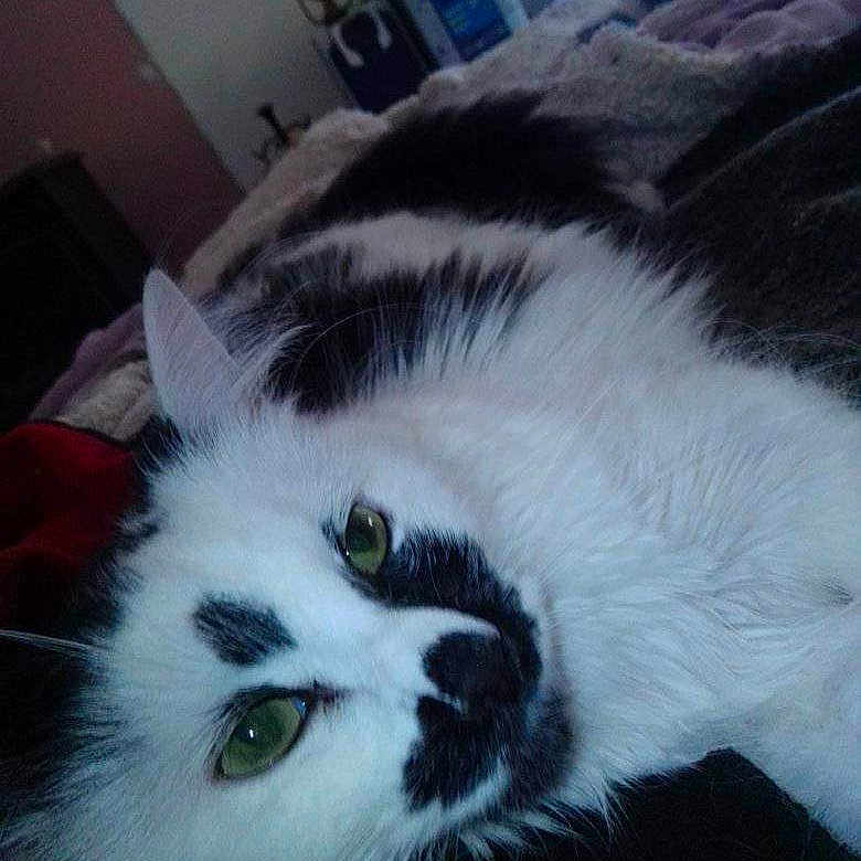 Charly