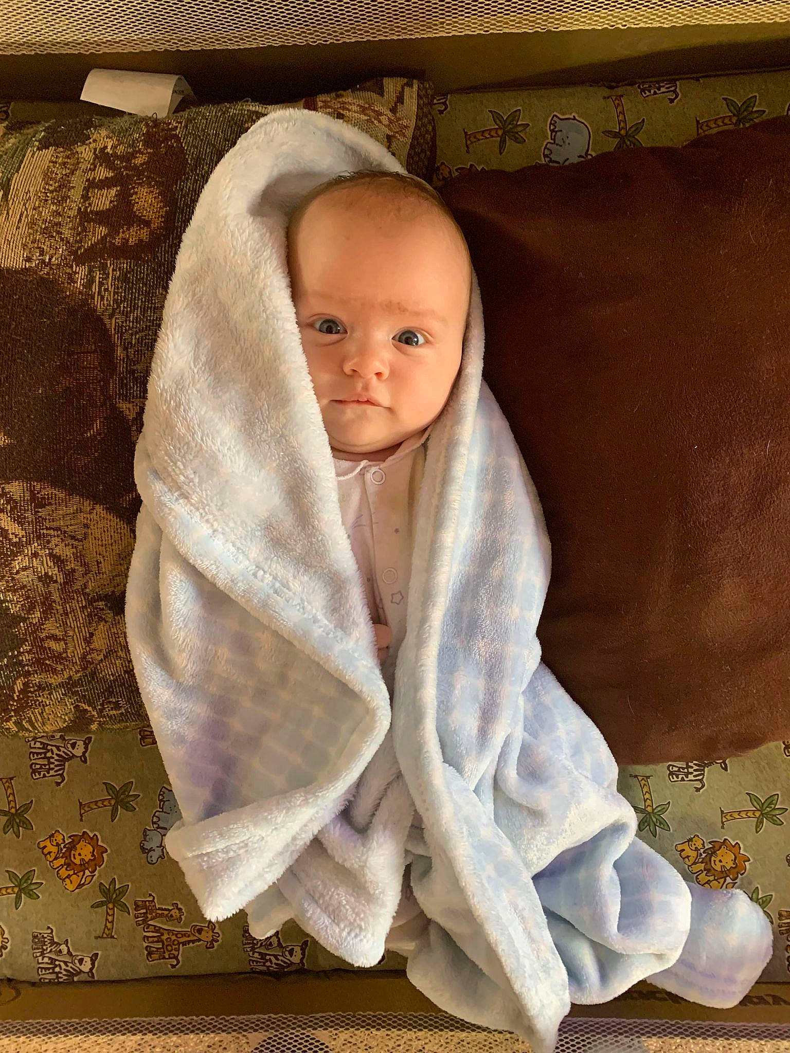 Ryan joined the competition — help win amazing prizes! baby, baby_products, baby_sleeping, baby_toddler_clothing, bedding, beige, blanket, child, comfort, flooring, fur, linens, person, rectangle, room, sitting, sleeve, toddler, towel, wood