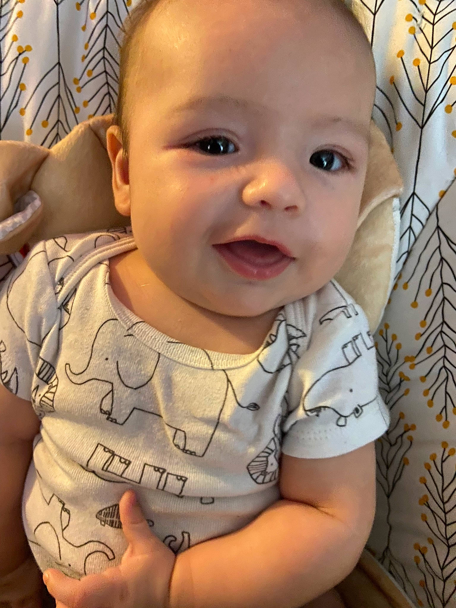 Jacob is registered to the contest to win money with this photo: baby_toddler_clothing, cheek, chin, ear, eye, eyebrow, facial_expression, forehead, hairstyle, head, human_body, iris, lip, mouth, neck, nose, person, product, skin, smile