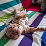belly_up, blanket, bulldog, colorful, couch, cute, dog, fur, indoor, living_room, lying_down, paw, pet, pillow, playful, portrait, smile, striped_blanket, teeth, wrinkles
