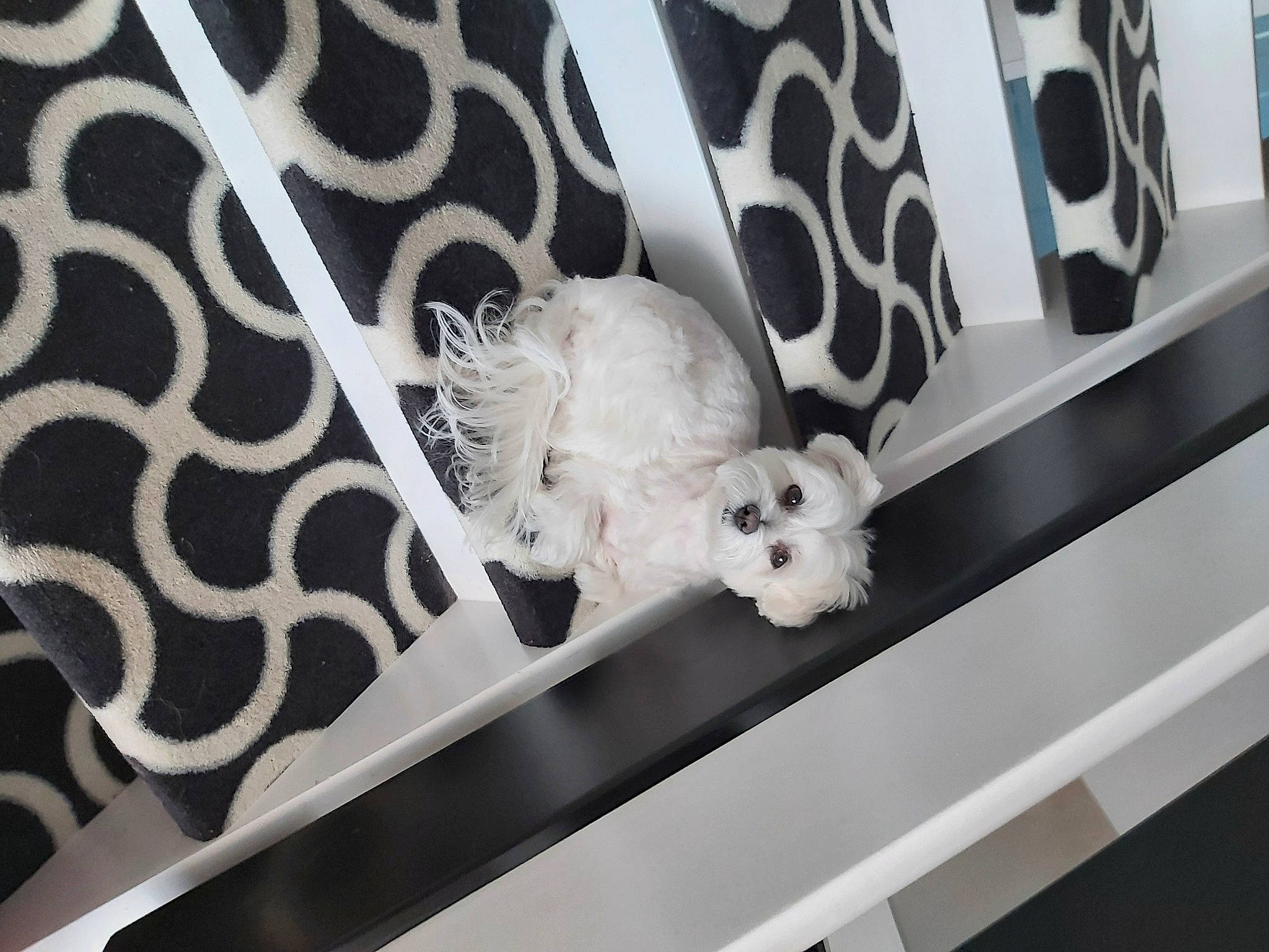 Galia participe au concours pour gagner de l'argent avec cette photo : art, automotive_design, automotive_exterior, black_and_white, ceiling, dress, fashion_accessory, font, grey, hood, human_body, metal, monochrome, monochrome_photography, pattern, rim, room, style, vehicle_door, wing