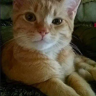 Hudson