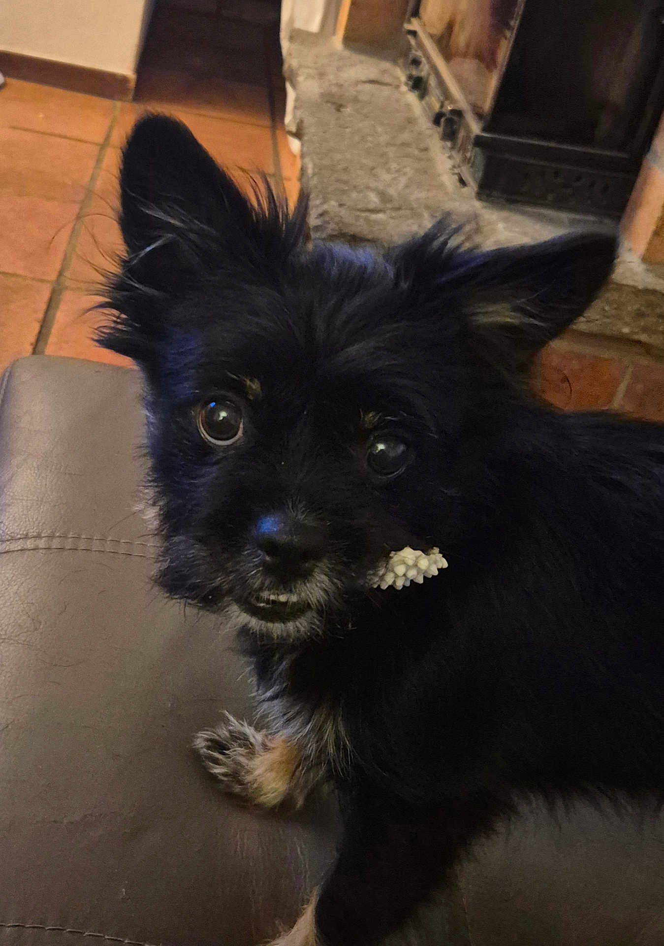 Mia