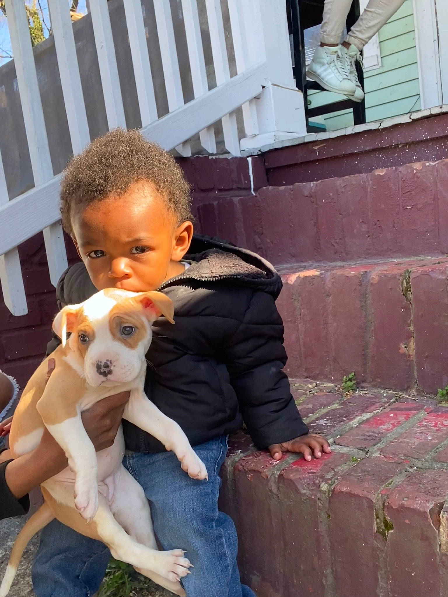 Chance joined the competition — help win amazing prizes! brick, brickwork, canidae, carnivore, companion_dog, dog, dog_breed, doll, eyewear, fawn, fun, fur, happy, jeans, leisure, person, sitting, sunglasses, textile, toy