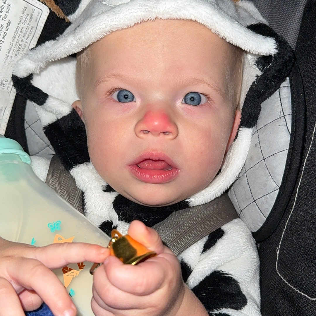 Raylan joined the competition — help win amazing prizes! baby, blanket, blue_eyes, bottle, car_seat, child, closeup, clothing, cow_print, curious, cute, face, hand, hoodie, indoor, infant, person, red_nose, seatbelt, toy
