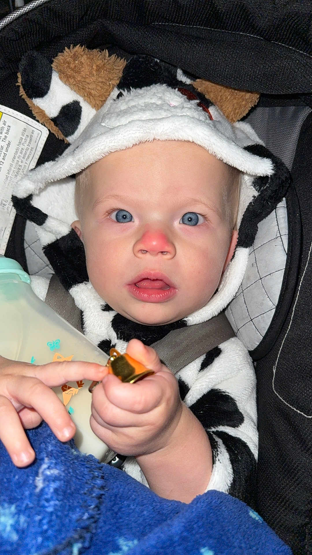 Raylan joined the competition — help win amazing prizes! baby, child, blue_eyes, cow_print, hoodie, bottle, car_seat, blanket, hand, face, red_nose, curious, infant, clothing, closeup, indoor, cute, person, seatbelt, toy
