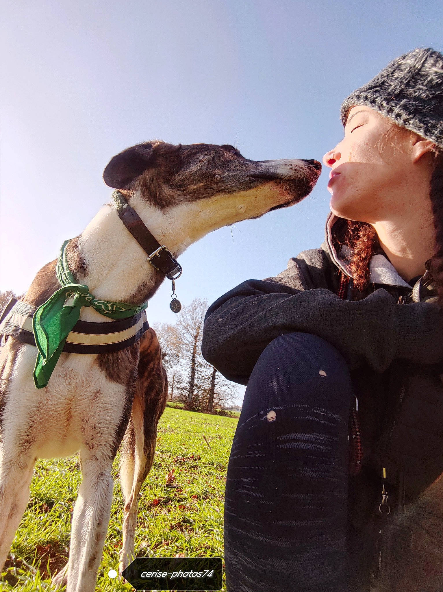 Henty a rejoint le concours — aidez-le/la à gagner de superbes lots ! canidae, cap, carnivore, collar, companion_dog, dog, dog_breed, dog_collar, fawn, fun, happy, magyar_agar, mammal, pet_supply, rampur_greyhound, sighthound, sky, sporting_group, vertebrate, working_animal