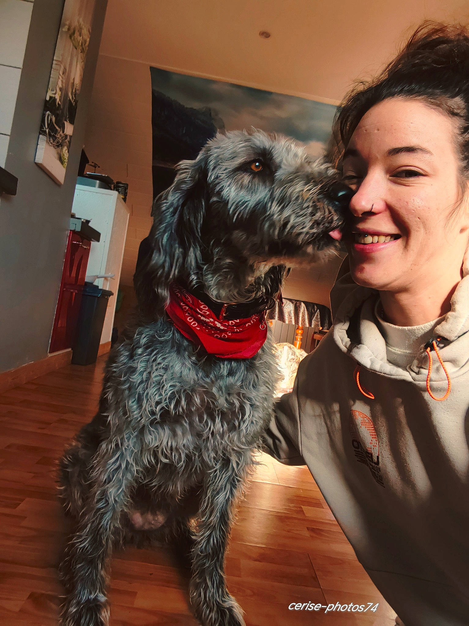 Olga a rejoint le concours — aidez-le/la à gagner de superbes lots ! canidae, carnivore, collar, companion_dog, dog, dog_breed, dog_collar, fur, giant_dog_breed, guard_dog, houseplant, picture_frame, schnauzer, small_terrier, smile, sporting_group, terrier, water_dog, working_animal, working_dog