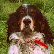 Brise a rejoint le concours — aidez-le/la à gagner de superbes lots !