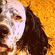 Azur participe au concours pour gagner de l'argent avec cette photo :