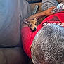 arm, carpet, casual, couch, dog, furniture, hair, head, indoor, living_room, person, pet, puppy, red_shirt, relaxing, remote_control, resting, seated, shorts, water_bottle