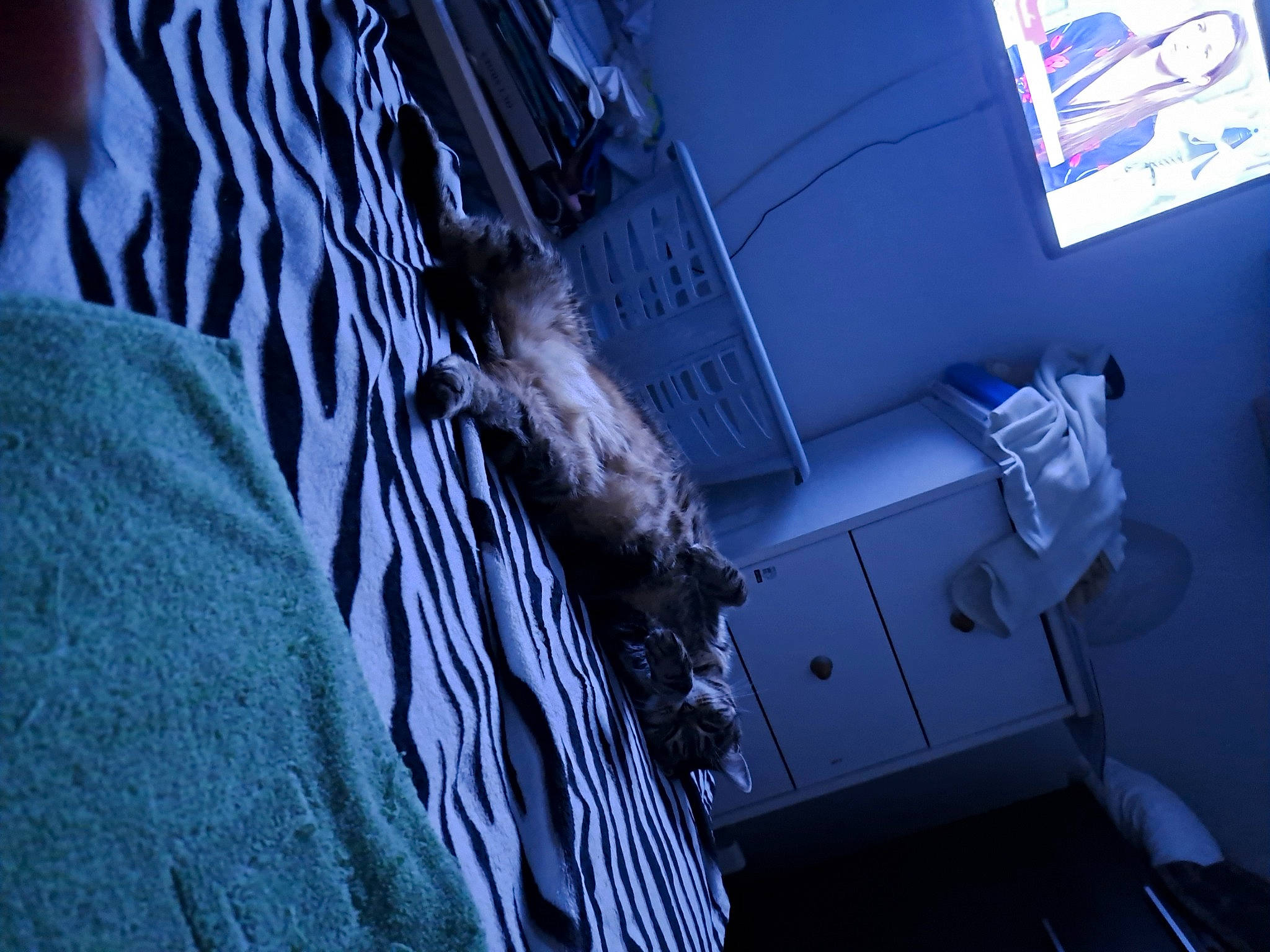 Nala a rejoint le concours — aidez-le/la à gagner de superbes lots ! aerospace_engineering, air_travel, airline, azure, cg_artwork, darkness, electric_blue, fashion_design, fictional_character, machine, naval_architecture, room, shadow, space, water, wing