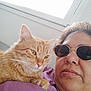 Garfield a rejoint le concours — aidez-le/la à gagner de superbes lots ! casual, cat, close_up, comfort, companion, face, fur, home, indoor, natural_light, orange_cat, person, pet, portrait, purple_shirt, relaxed, resting, sunglasses, whiskers, window