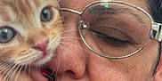 Garfield a rejoint le concours — aidez-le/la à gagner de superbes lots ! accessories, adult, animal, bodypart, cat, earring, face, female, finger, glasses, hand, head, kitten, person, pet, photography, portrait, selfie, sunglasses, woman