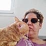 affection, casual, cat, close_up, feline, fur, ginger_cat, glasses, home, human, indoor, light, person, pet, portrait, purple_shirt, relaxed, sitting, snuggling, window