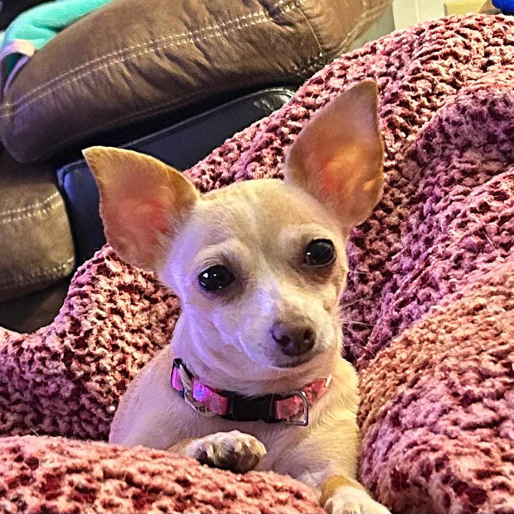 Trixie Ann