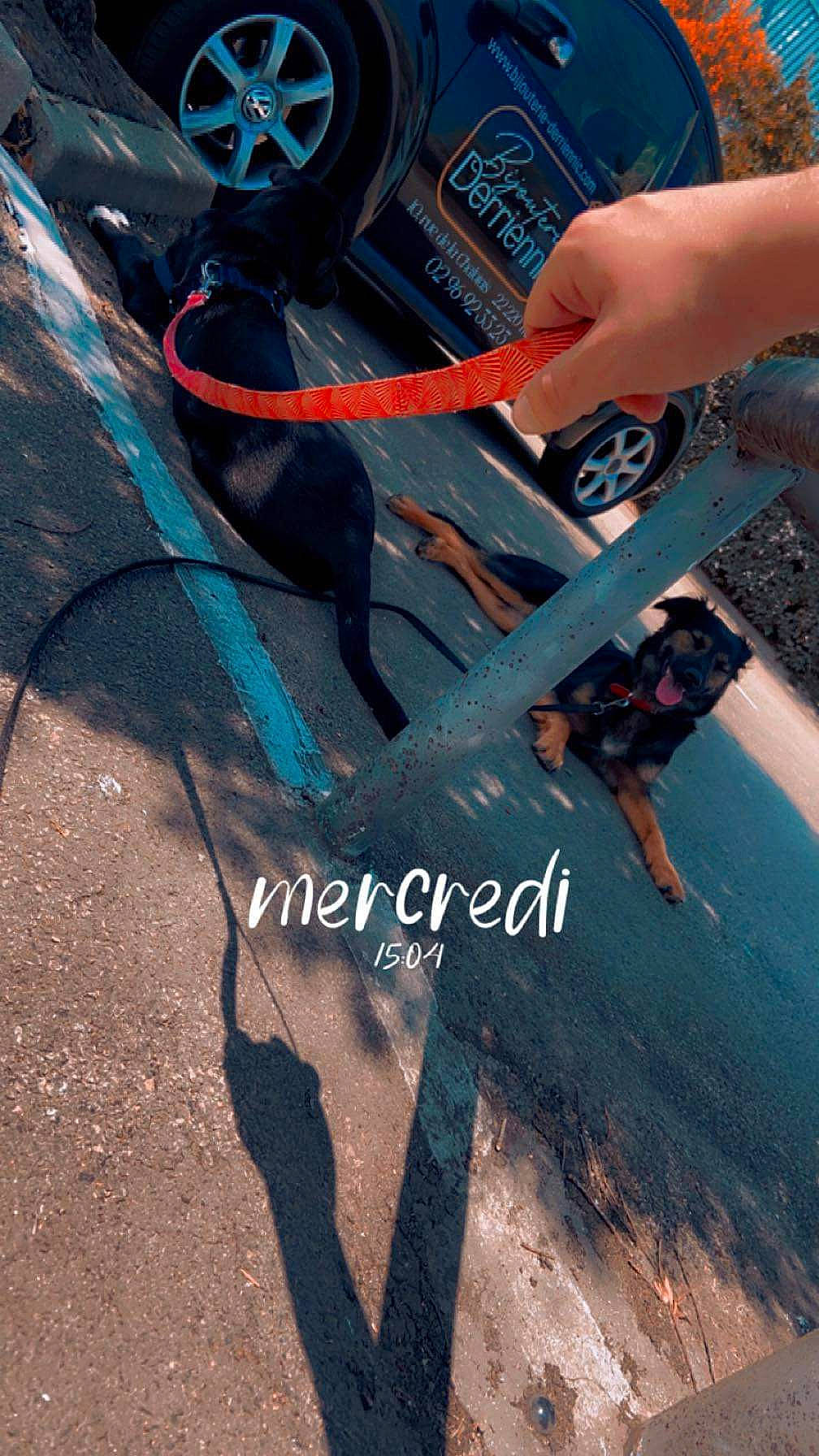 Bad a rejoint le concours — aidez-le/la à gagner de superbes lots ! asphalt, auto_part, automotive_exterior, automotive_tire, book_cover, cable, electric_blue, font, gesture, graphics, human_leg, motor_vehicle, nail, recreation, rim, road_surface, shadow, soil, vehicle_door, wire