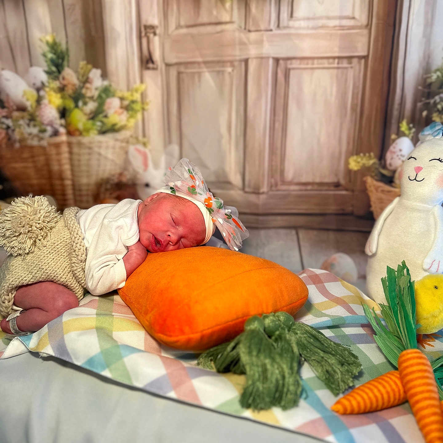 Delilah joined the competition — help win amazing prizes! animal, baby, bird, blanket, cushion, face, flower, flowerarrangement, flowerbouquet, food, head, homedecor, newborn, person, photography, pillow, plant, portrait, produce, sleeping