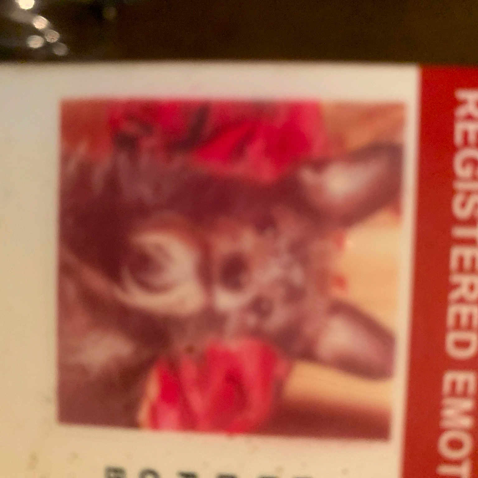 Yukk is registered to the contest to win money with this photo: advertising, art, carmine, felidae, fiction, fictional_character, flesh, font, fur, magenta, paper, photo_caption, publication, small_to_medium_sized_cats, visual_arts, whiskers