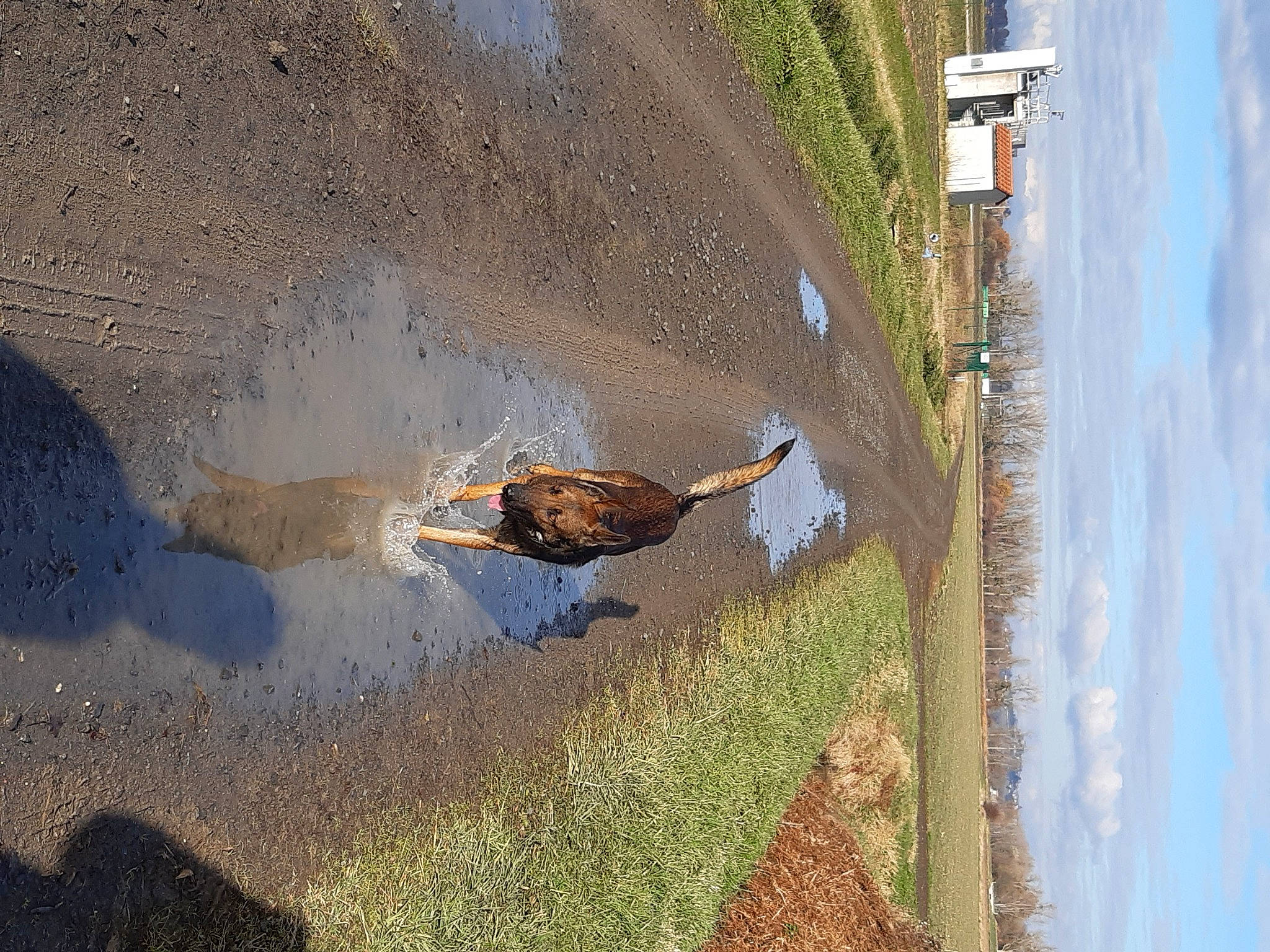 Obiwan participe au concours pour gagner de l'argent avec cette photo : biome, bird, building, ecoregion, geological_phenomenon, landscape, morning, plant, reflection, road, road_surface, shadow, sky, slope, soil, tree, trunk, water, window, wood