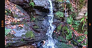 Loullig a rejoint le concours — aidez-le/la à gagner de superbes lots ! adventure, animal, canine, dog, ferns, flowing_water, forest, greenery, hiking, landscape, moss, nature, outdoor, rocks, scenic, shallow_water, stream, water, waterfall, wildlife