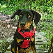 Loullig a rejoint le concours — aidez-le/la à gagner de superbes lots !