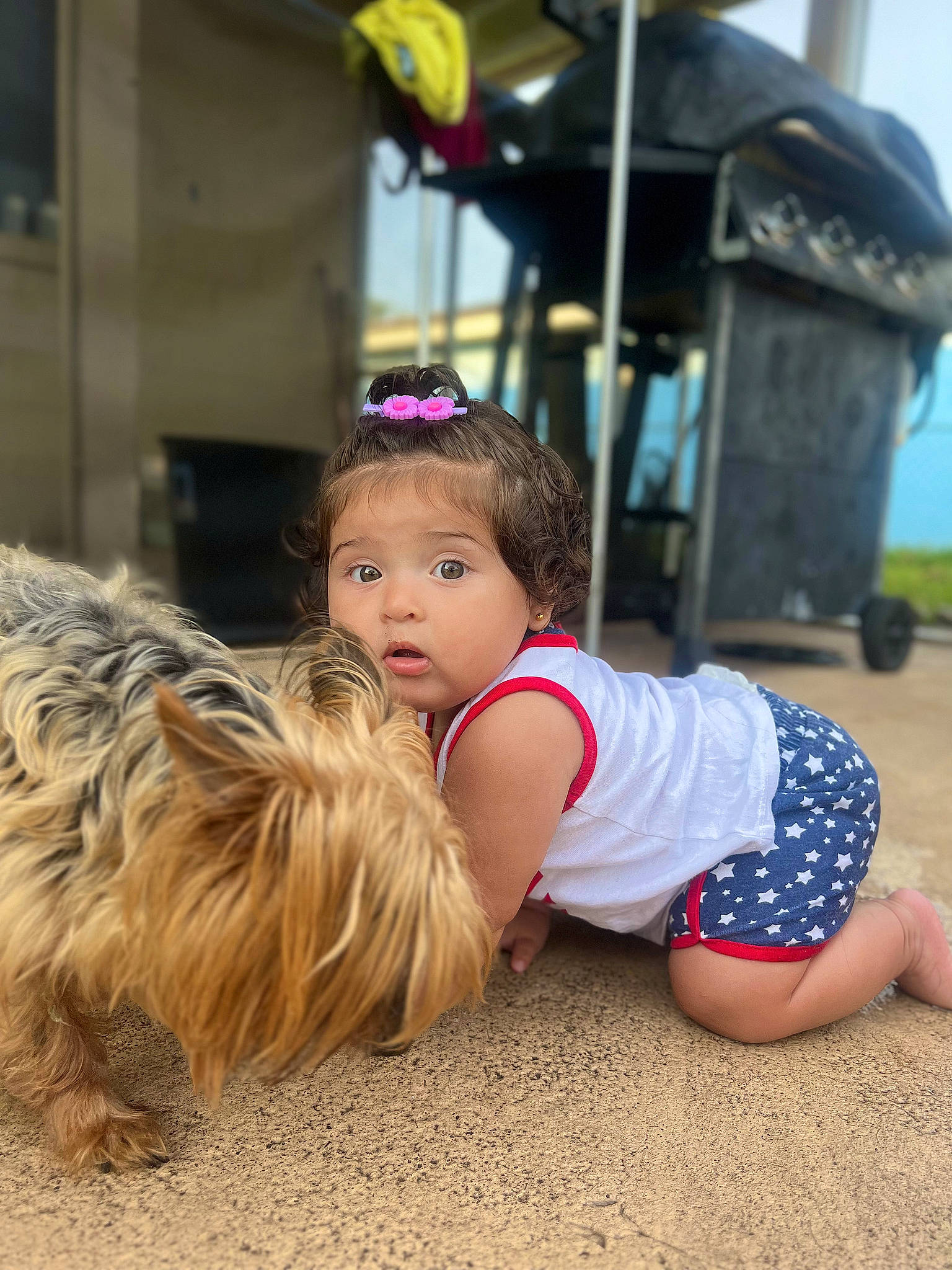 Alaia joined the competition — help win amazing prizes! barefoot, blond, brown_hair, child, companion_dog, flooring, fun, fur, grass, happy, human_leg, leisure, person, recreation, sand, sitting, surprise, terrier, thigh, toddler