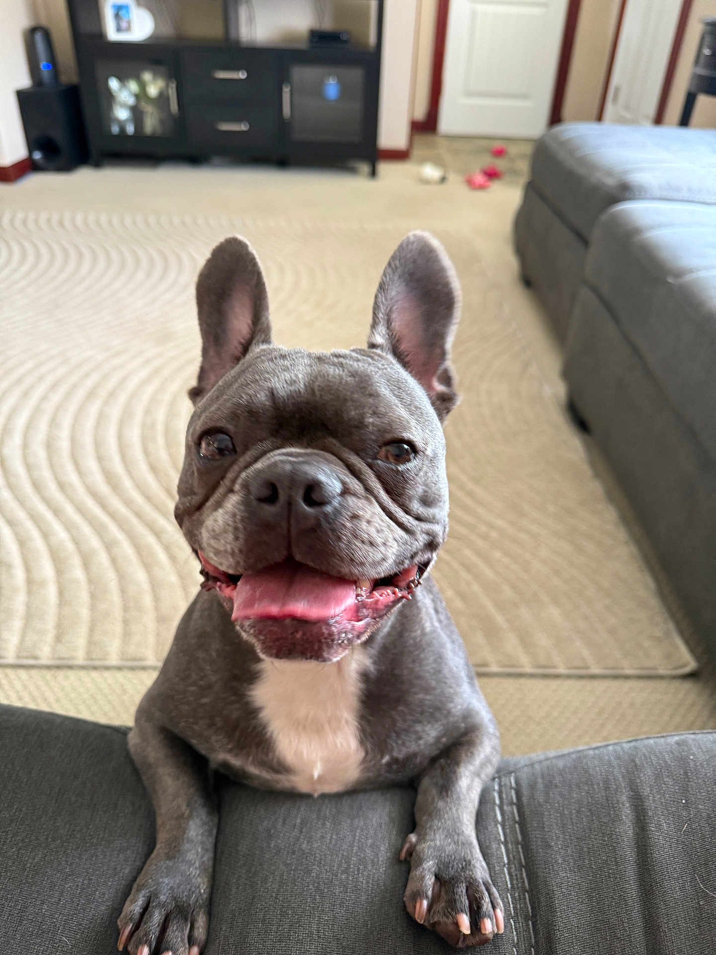Bruiser