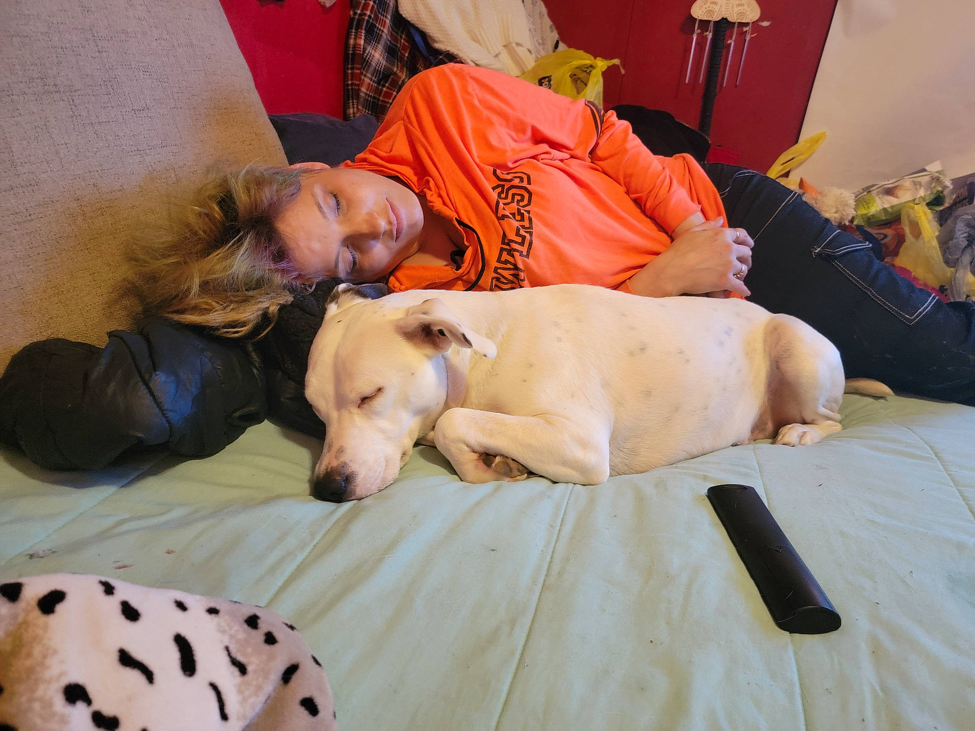 Piper joined the competition — help win amazing prizes! bed, black_pants, blanket, casual, comfort, cozy, dog, fur, home, indoor, napping, orange_sweatshirt, person, pet, pillow, relaxed, remote_control, resting, sleeping, white_dog