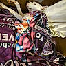 Piper is registered to the contest to win money with this photo: animal, blanket, canine, comfort, couch, cozy, dog, ears, fur, home, indoor, paws, pet, relaxation, resting, sleeping, snuggled, soft, warm, white_dog